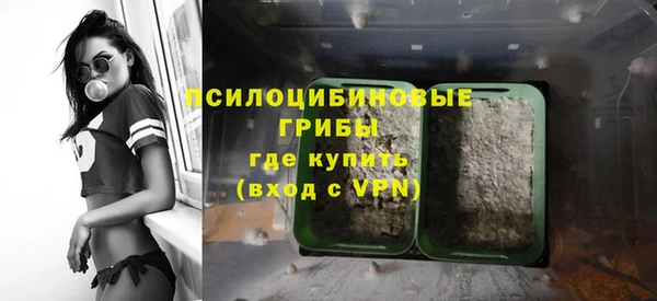 молекула духа Волоколамск