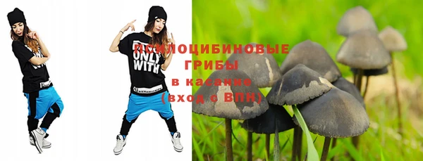 ПСИЛОЦИБИНОВЫЕ ГРИБЫ Волосово