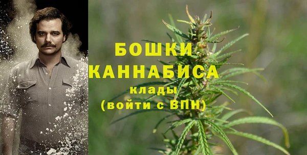 мдпв Володарск