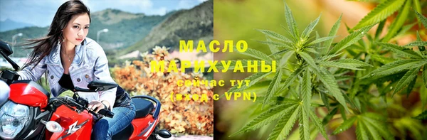 молекула духа Волоколамск