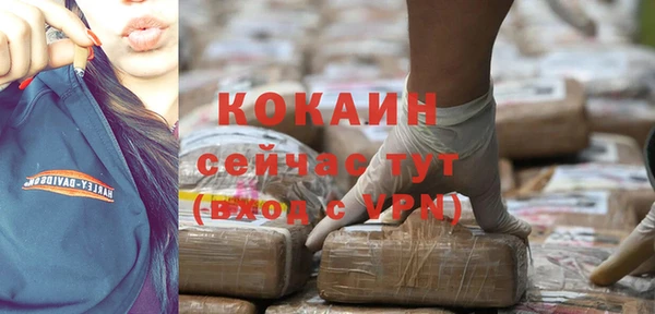 ПСИЛОЦИБИНОВЫЕ ГРИБЫ Волосово