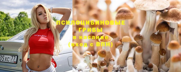 молекула духа Волоколамск