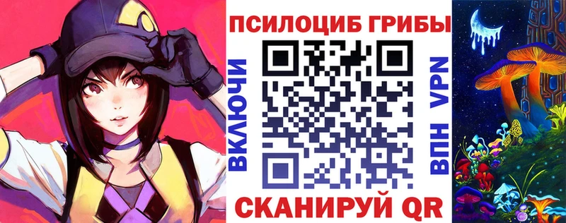 где продают   Дзержинск  Галлюциногенные грибы Psilocybine cubensis 